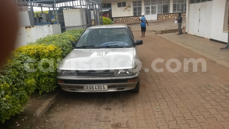 Big with watermark 20161214 143401