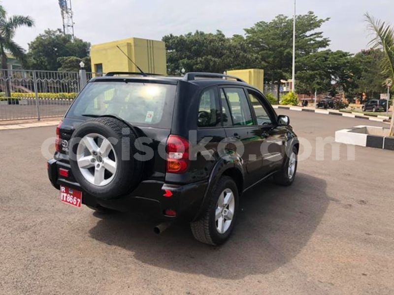 Big with watermark 51985931 2344435995576329 2822459370841833472 n