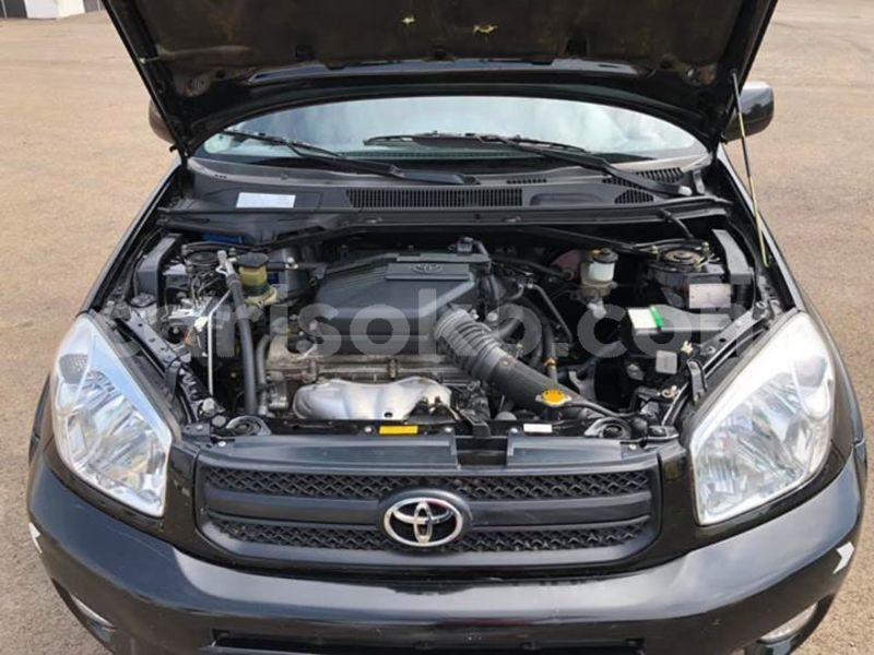 Big with watermark 52389999 2344436062242989 4725731109671796736 n