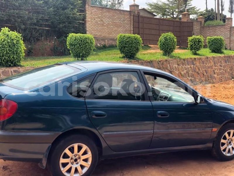 Big with watermark 52491632 2344467325573196 2701689928474951680 n