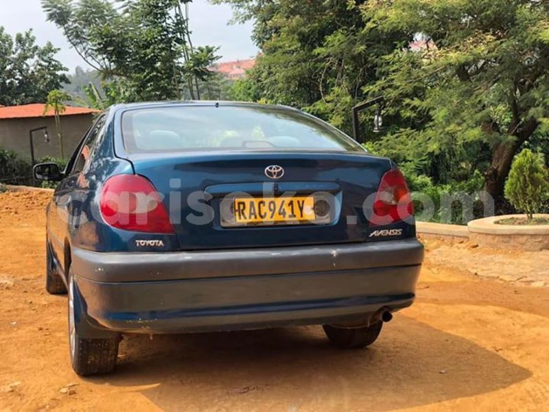 Big with watermark 52611750 2344467342239861 7316215439976038400 n