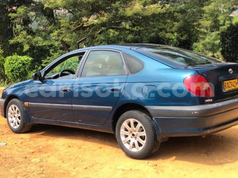 Big with watermark 52958230 2344467288906533 816679454284709888 n