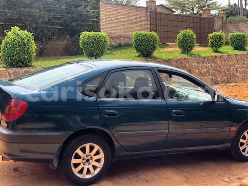 Big with watermark 52581008 2344467362239859 7592972700054716416 n