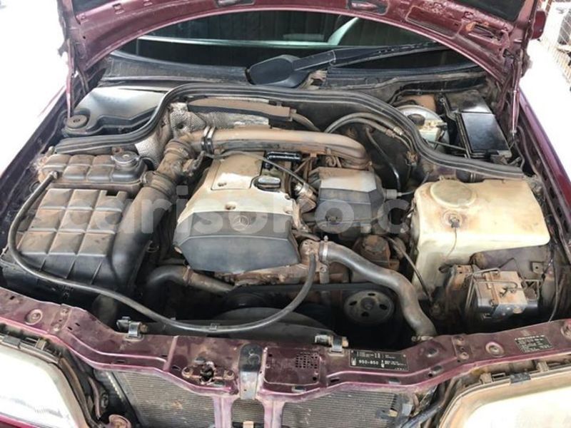 Big with watermark 49241541 2298173360202593 6945006514708938752 n