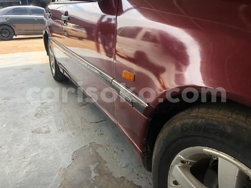 Big with watermark 49948901 2298173313535931 2214022492530409472 n