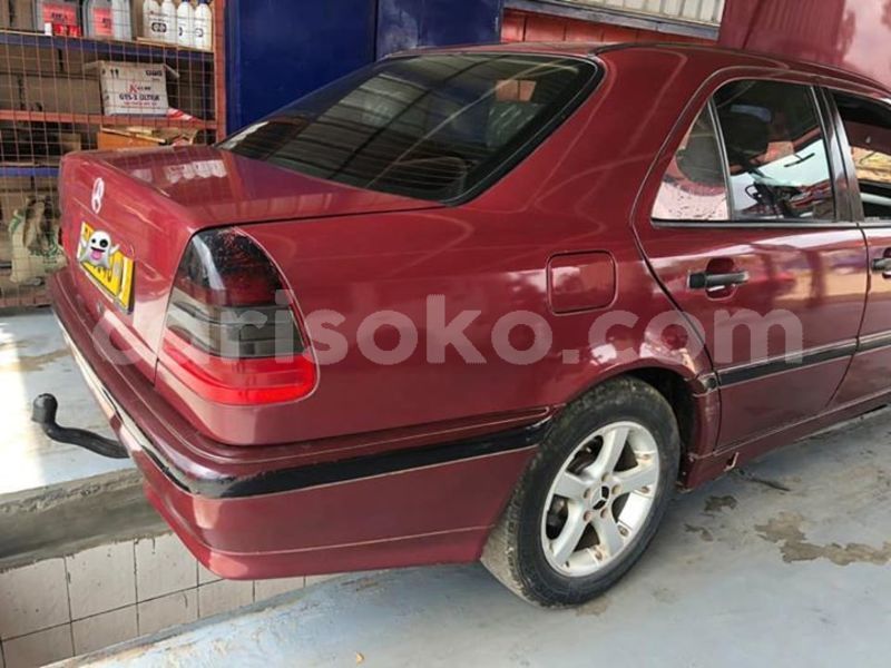 Big with watermark 50436432 2298173273535935 6596408096879280128 n