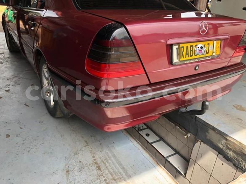 Big with watermark 50283410 2298173216869274 6811597782453846016 n