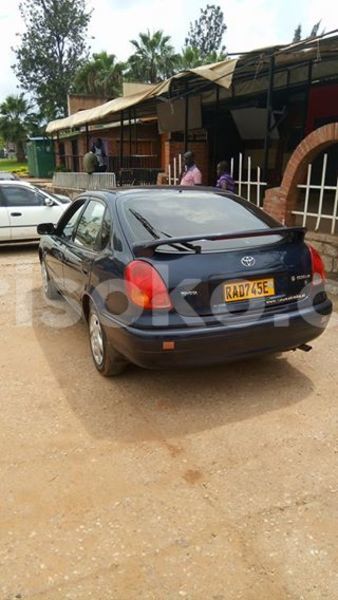 Big with watermark 14572839 1276538899057194 7605807282165903254 n