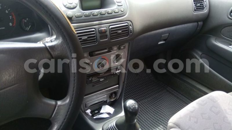 Big with watermark 14695326 1276538865723864 3907257530309395993 n