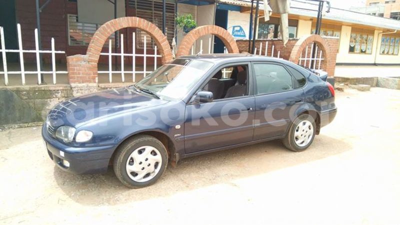 Big with watermark 14937420 10210899464142563 5142262507148257599 n