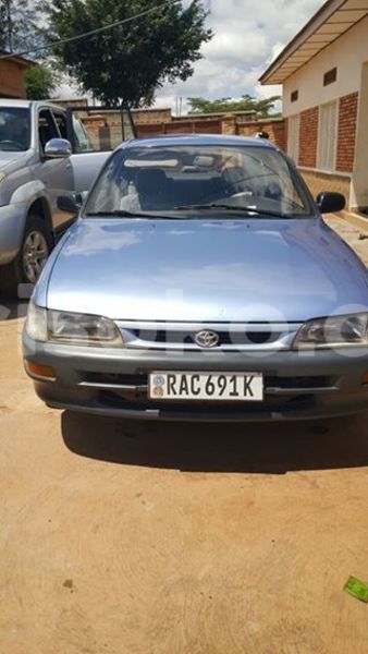 Big with watermark 14572839 1276538899057194 7605807282165903254 n