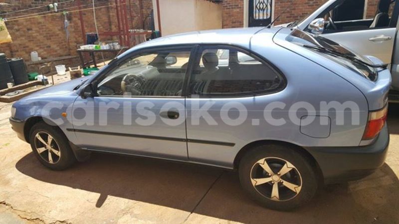 Big with watermark 14695326 1276538865723864 3907257530309395993 n