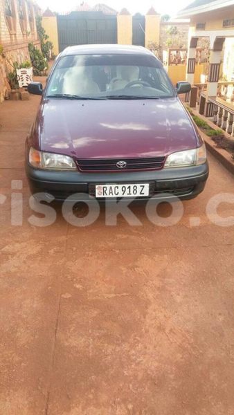 Big with watermark 14695326 1276538865723864 3907257530309395993 n