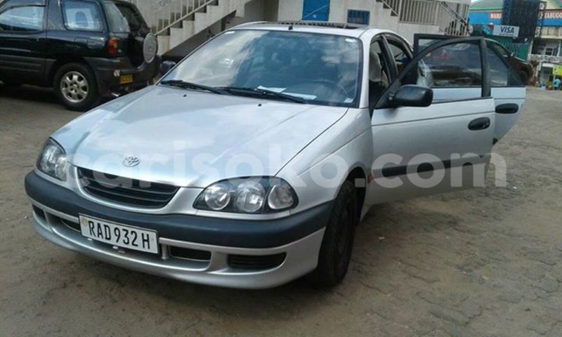 Big with watermark 14572839 1276538899057194 7605807282165903254 n