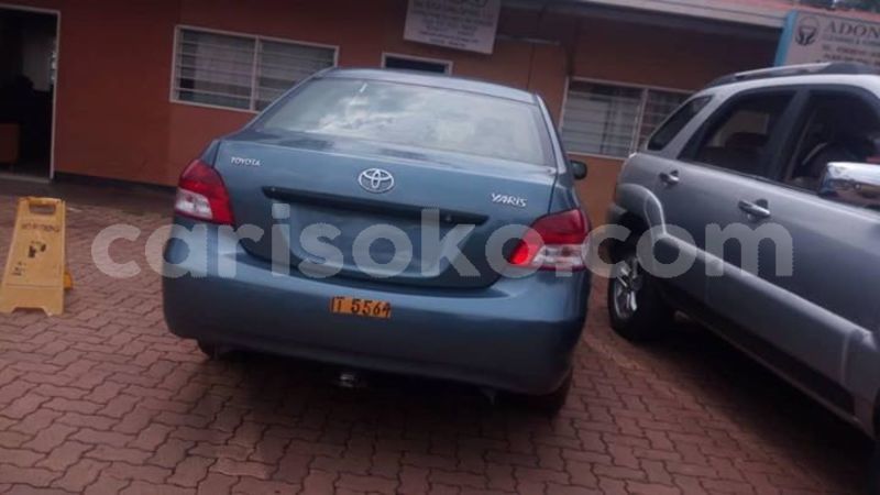 Big with watermark 48425692 10212074344248471 2075305975266410496 n