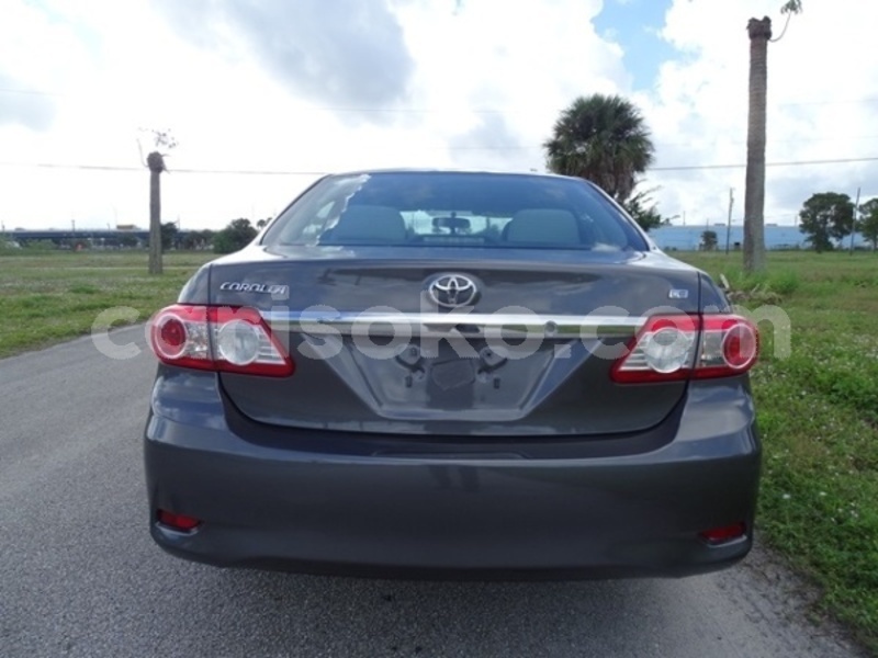 Big with watermark 854754214 9 