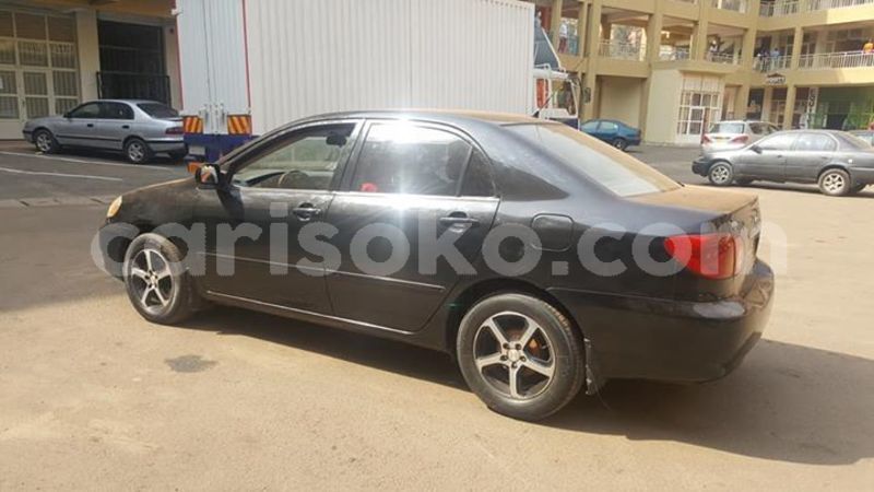 Big with watermark 51656874 1103002159883137 3089529284939743232 n