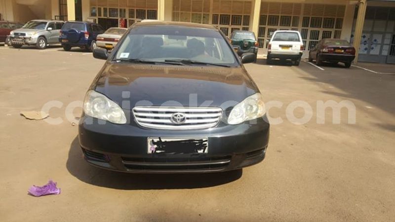 Big with watermark 51555022 1103002109883142 3370982365907124224 n