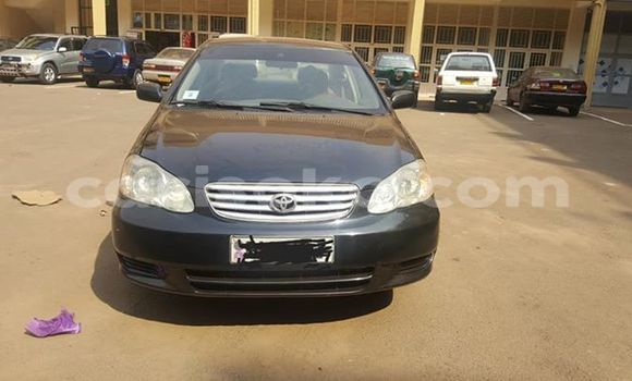 اشتري مستعمل Toyota Corolla Noir سيارة في Kigali في Rwanda اشتري مستعمل Toyota Corolla Noir سيارة في Kigali في Rwanda