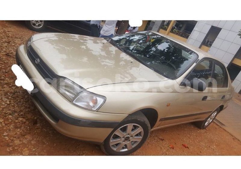 Big with watermark 51648847 1100219950161358 4087404222507646976 o