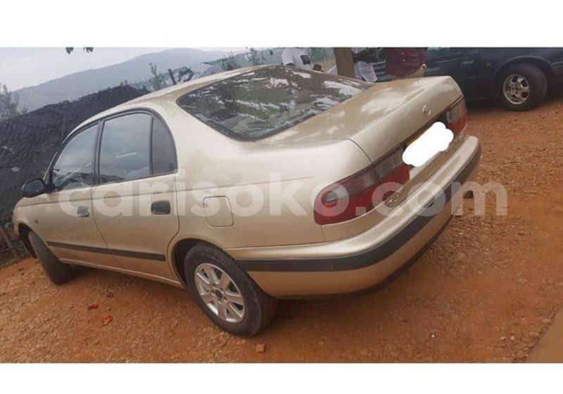 Big with watermark 51227994 1100220060161347 777478811032748032 o