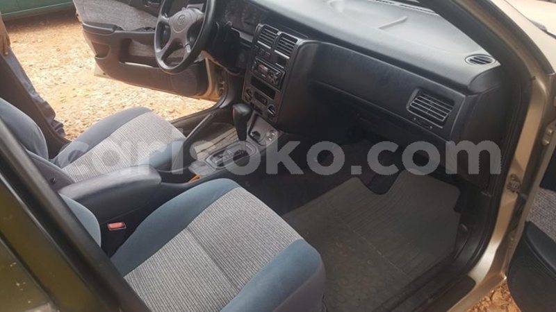 Big with watermark 51318374 1100220183494668 8103540996110811136 o