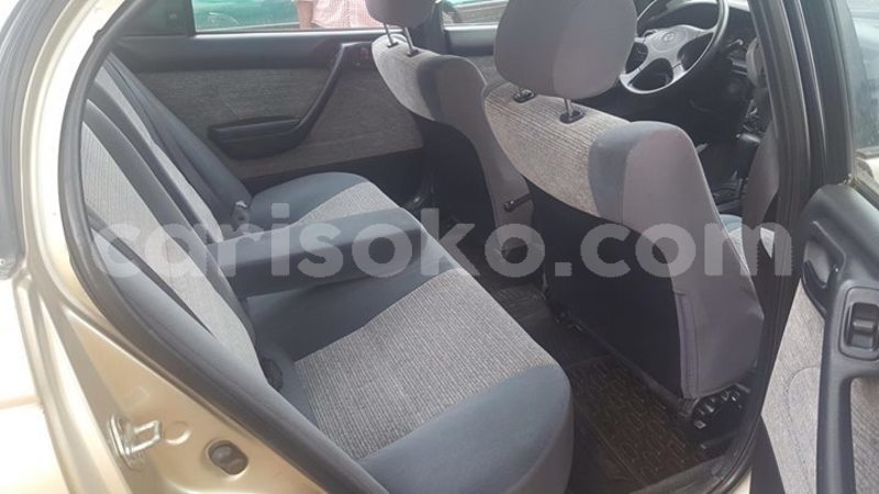 Big with watermark 51290774 1100220486827971 5641176863096176640 o