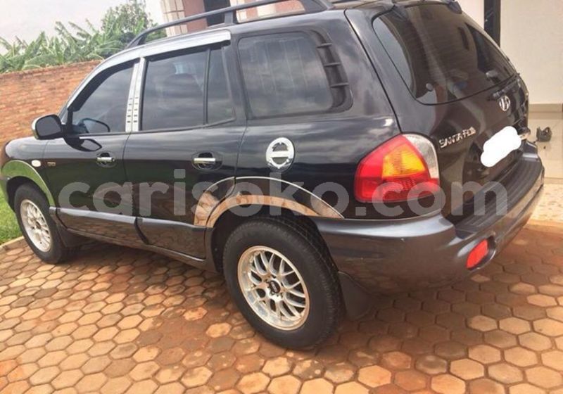 Big with watermark 51407056 1098702143646472 3612725970257051648 o