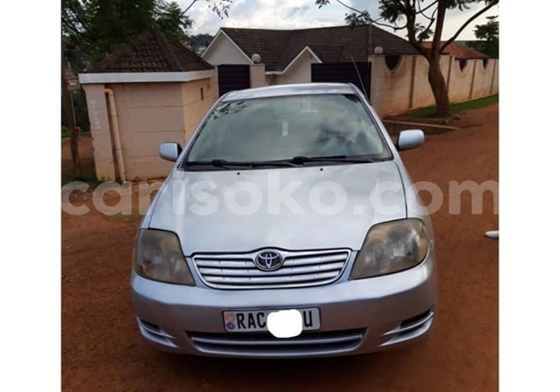 Big with watermark 50424918 1091081494408537 4241461220491657216 n