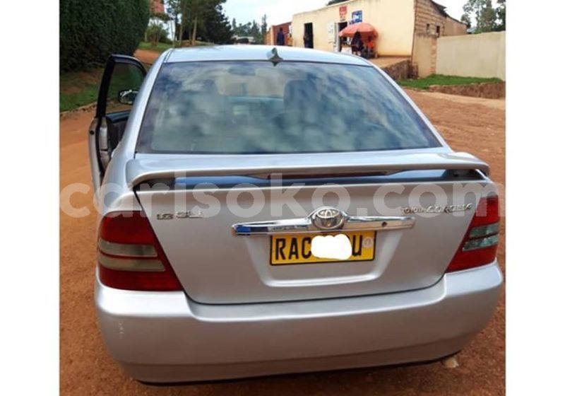 Big with watermark 50710671 1091081557741864 4987018666349428736 n