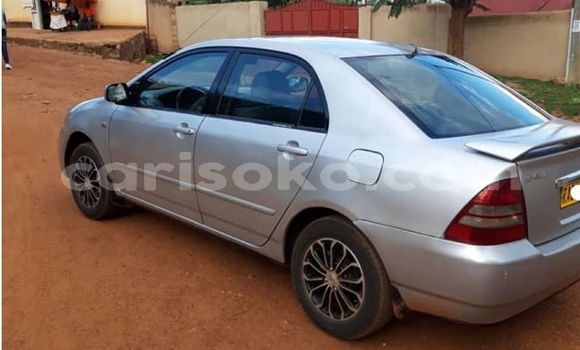 اشتري مستعمل Toyota Corolla Gris سيارة في Kigali في Rwanda اشتري مستعمل Toyota Corolla Gris سيارة في Kigali في Rwanda