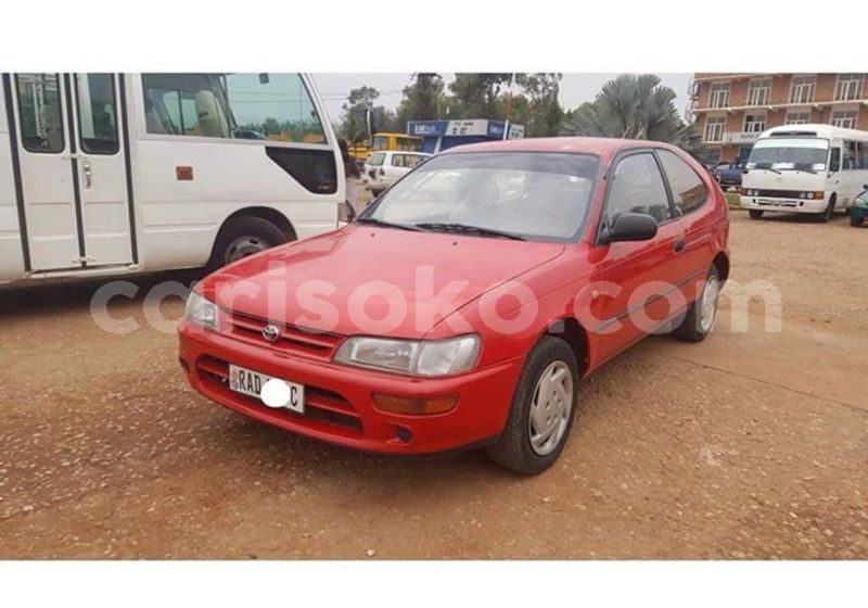 Big with watermark 50494100 1091089067741113 1968455383739531264 n