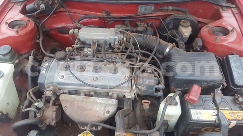 Big with watermark 50658197 1091089201074433 1404368071438630912 n