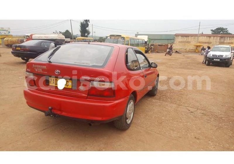 Big with watermark 50522230 1091089137741106 99027287122378752 n