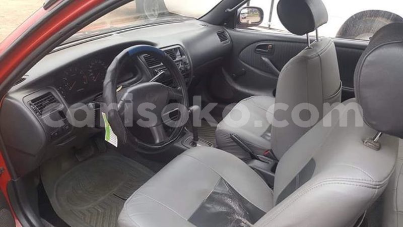 Big with watermark 50556234 1091089081074445 3251937503233441792 n