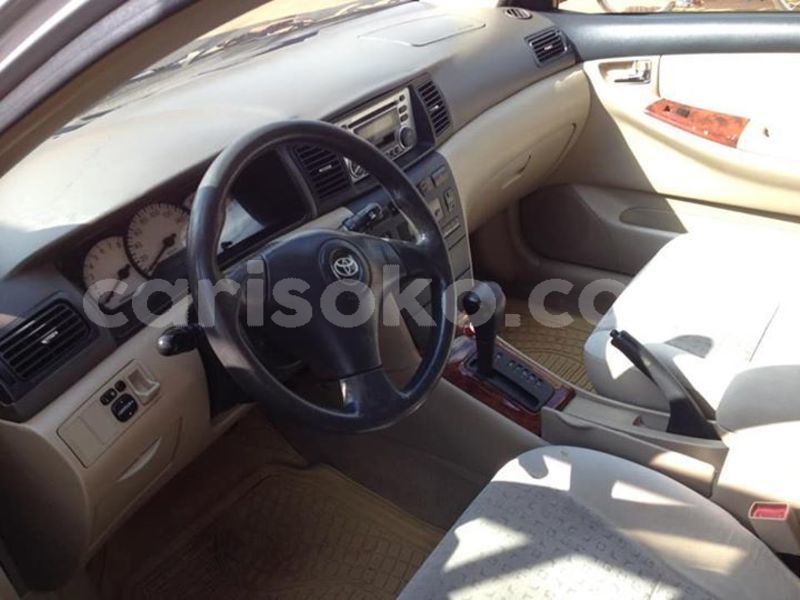 Big with watermark 50509185 1091096121073741 3701036824349638656 n