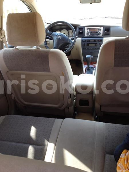 Big with watermark 50613889 1091096104407076 2127548638899994624 n