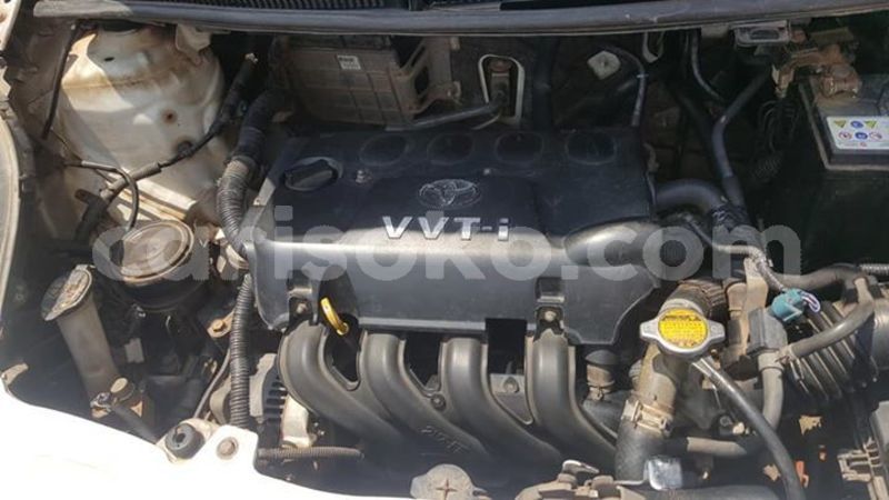 Big with watermark 50275125 1091977914318895 856504362443210752 n