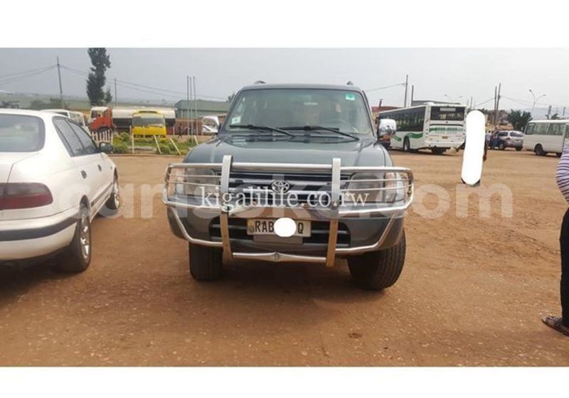 Big with watermark 50826210 1091984290984924 537076138422304768 n