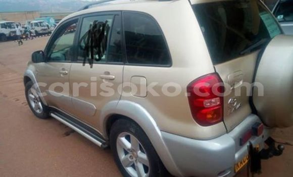 Buy Used Toyota RAV4 Beige Car in Kigali in Rwanda Buy Used Toyota RAV4 Beige Car in Kigali in Rwanda