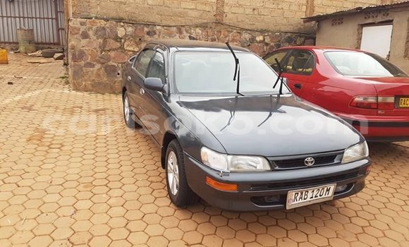 Sayi Na hannu Toyota Corolla Autre Mota in Kigali a Rwanda Sayi Na hannu Toyota Corolla Autre Mota in Kigali a Rwanda
