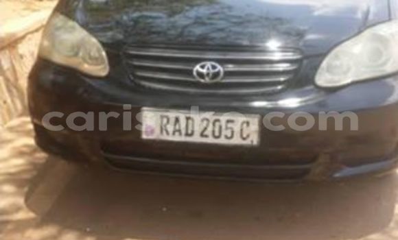 Buy Used Toyota Corolla Black Car in Kigali in Rwanda Buy Used Toyota Corolla Black Car in Kigali in Rwanda