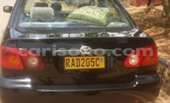 Buy Used Toyota Corolla Black Car in Kigali in Rwanda Buy Used Toyota Corolla Black Car in Kigali in Rwanda