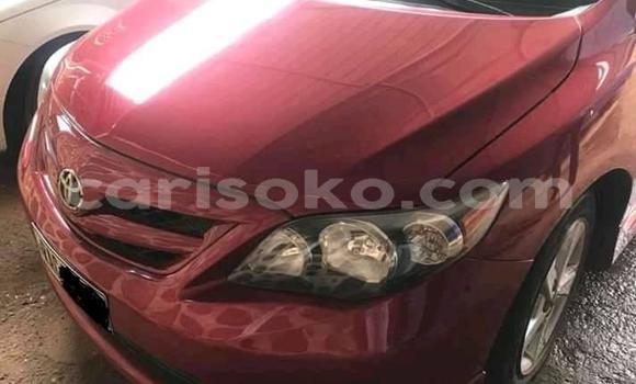 Buy Used Toyota Corolla Red Car in Kigali in Rwanda Buy Used Toyota Corolla Red Car in Kigali in Rwanda