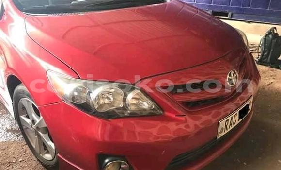 Buy Used Toyota Corolla Red Car in Kigali in Rwanda Buy Used Toyota Corolla Red Car in Kigali in Rwanda