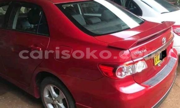 Buy Used Toyota Corolla Red Car in Kigali in Rwanda Buy Used Toyota Corolla Red Car in Kigali in Rwanda