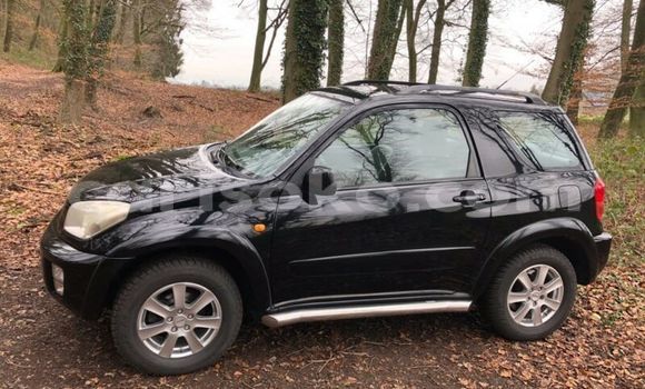 Buy Used Toyota RAV4 Black Car in Kigali in Rwanda Buy Used Toyota RAV4 Black Car in Kigali in Rwanda