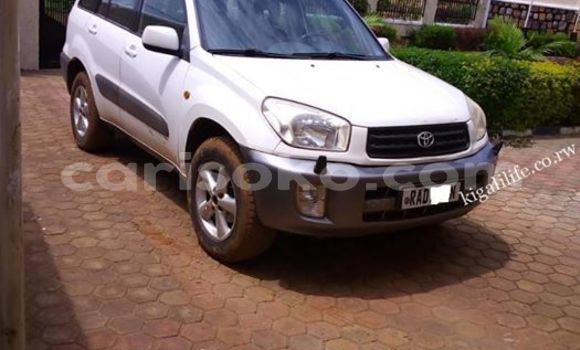 Buy Used Toyota RAV4 White Car in Kigali in Rwanda Buy Used Toyota RAV4 White Car in Kigali in Rwanda