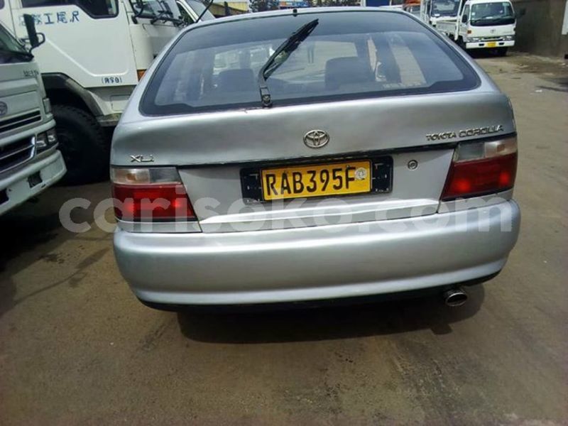 Big with watermark 52523800 2266898656963755 8858113556848050176 n