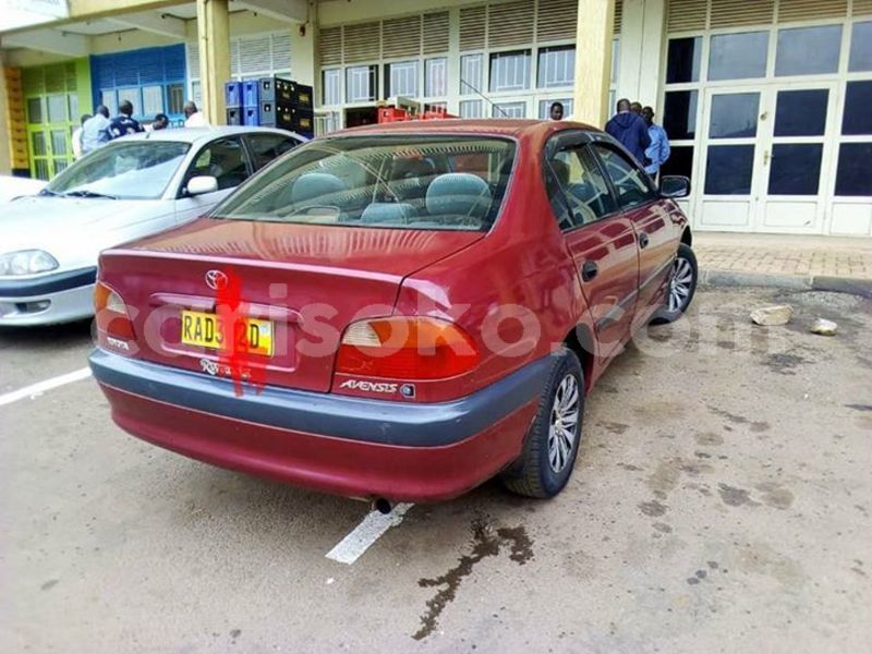 Big with watermark 50259433 2244496815870606 4563844553810903040 n